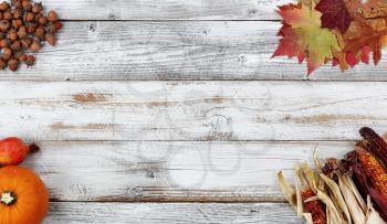 Halloween or Thanksgiving Autumn holiday concept with corn, leaves, pumpkin and acorns in each corner of white rustic wooden background 