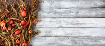 Thanksgiving decorations on left side of white rustic wood 