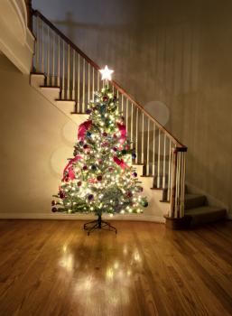 Brightly illuminated decorated Christmas tree in home during nighttime setting    