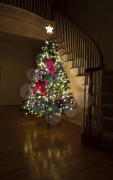 Decorated Christmas tree illuminated in home during nighttime 