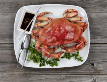 Whole cooked Dungeness crab in dinner table setting 