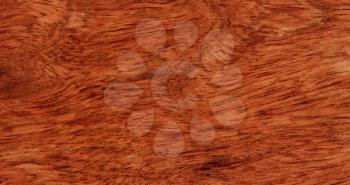 Brazilian cherry wood texture background in filled frame format