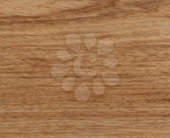 American Hickory wood texture background in filled frame format