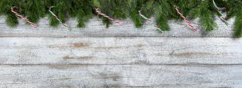 Border of Evergreen branches with candy cane ornaments for Christmas or New Year holiday background