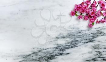 Happy Easter concept with bright springtime cherry blossoms on stone background