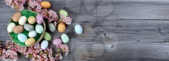 Happy Easter holiday concept of basket filled of colorful eggs and green grass plus cherry blossoms on rustic wooden planks