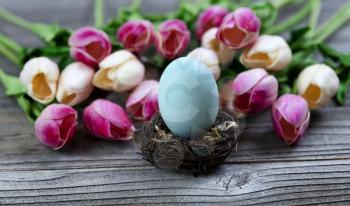 Select focus of a standing egg in nest with springtime tulip flowers and rustic wood in background