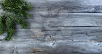 Merry Christmas background with real fir branches on natural rustic wooden board