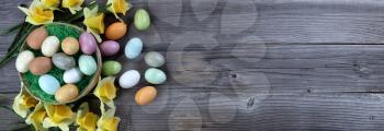 Happy Easter holiday background consisting of a basket filled of colorful eggs and green grass plus daffodil flowers on rustic wooden planks