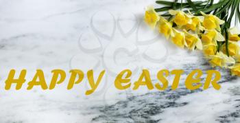 Happy Easter concept with bright springtime daffodil flowers on stone background plus written text message 