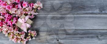 Overhead view of a gift box with pink cherry blossoms on weathered wooden planks for Mothers day love holiday concept 