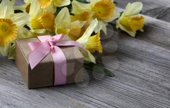 Close up view of a gift box with yellow daffodils on weathered wooden planks for Mothers day love holiday concept 