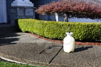 One gallon sprayer in front of home shrubs for fertilizing, insecticide and herbicide 