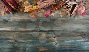 Top border of fading autumn leaves and corn on rustic blue wooden planks for a Thanksgiving holiday background concept