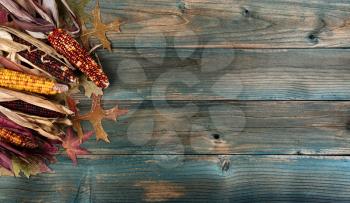 Faded autumn leaves and corn on rustic blue wooden planks for a Thanksgiving holiday background 