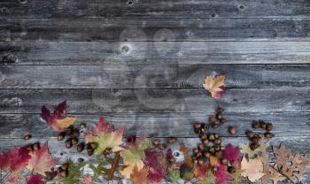 Autumn border with leaves and acorns on vintage wooden planks 