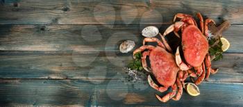 Freshly cooked crab with oyster shells and seasoning in flat lay format for seafood background concept  