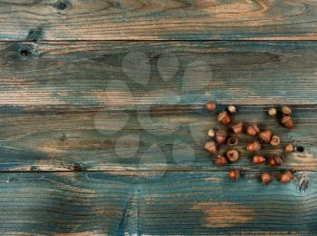 Aged acorns on faded blue wood planks for either a Halloween or Thanksgiving holiday concept background