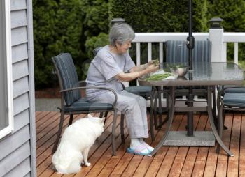 Senior woman working on fresh garden herbs while at outdoor table on deck with her pet dog 
