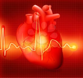 Heart cardiogram, eps10