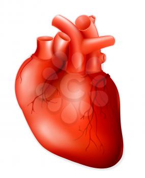Human heart, eps10