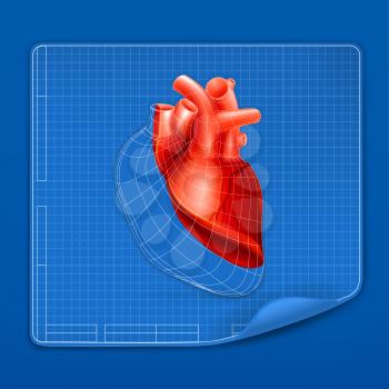 Heart structure blueprint, vector