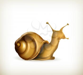 Snail, vector