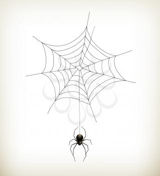 Spider and web, vector