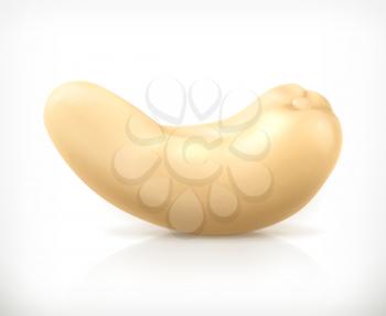 Cashew nuts, vector icon