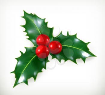 Holly, traditional Christmas decoration vector icon