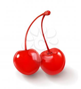 Pair of cherries for cocktails vector icon