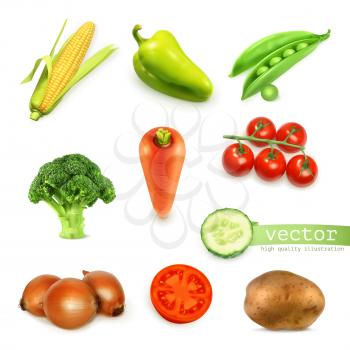 Set of vegetables, vector illustration