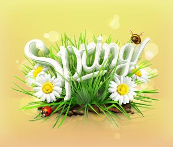 Spring, time for a picnic, grass, flowers of camomile, a ladybug and a bee in the garden, an universal background
