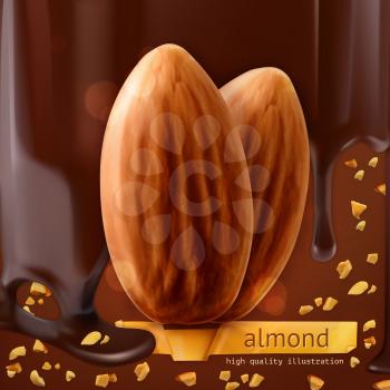 Almonds, vector background