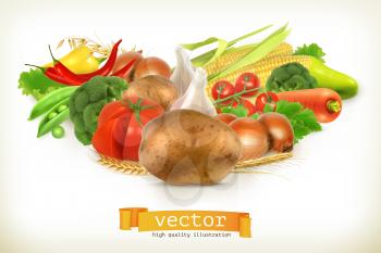 Harvest juicy and ripe vegetables vector illustration, isolated on white