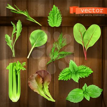 Herbs set, vector icons on wooden board