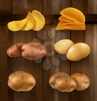 Potatoes vector set on wooden background
