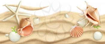 Seashells on sand, vector background