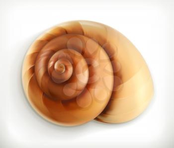 Spiral snail, vector icon