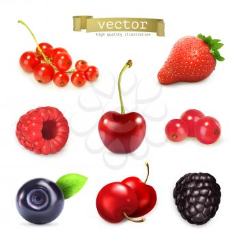 Sweet berries, vector illustration set of high quality
