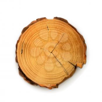 Tree stump, round cut with annual rings vector