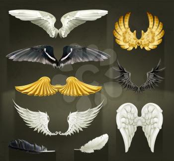Wings, set vector illustrations on black background