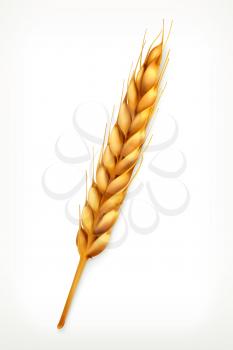 Wheat ears, vector icon