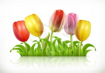 Tulips flowers and spring grass, 3d vector icon