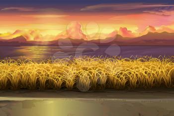 Sunset, field, vector landscape