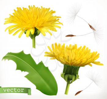 Dandelion, 3d vector icon set