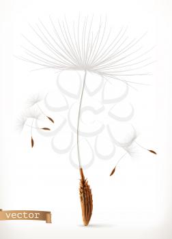 Dandelion seeds, 3d vector icon