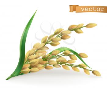 Rice. 3d vector icon