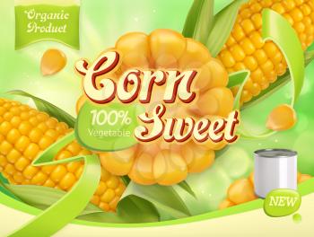 Sweet corn. 3d realistic vector, package design