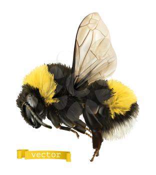 Bumblebee. 3d realistic vector icon